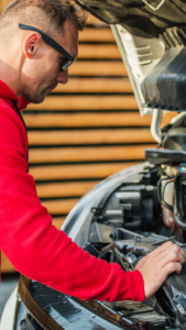 Untitled design - 2024-11-13T213216.384