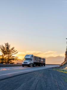 Untitled design - 2025-01-07T141147.393