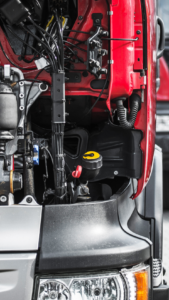 Untitled design - 2025-02-12T103803.682