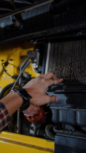 Untitled design - 2025-02-26T143613.727