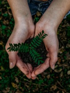 noah-buscher-x8ZStukS2PM-unsplash